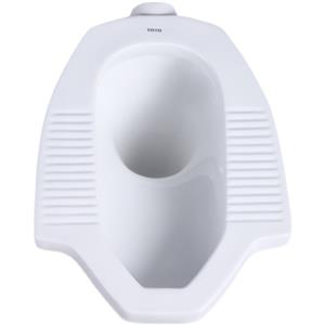 Squat toilet